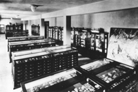 Mineral Museum Collection 1918